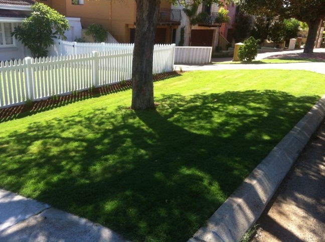 Manicured grass for a off street vegetation patch.